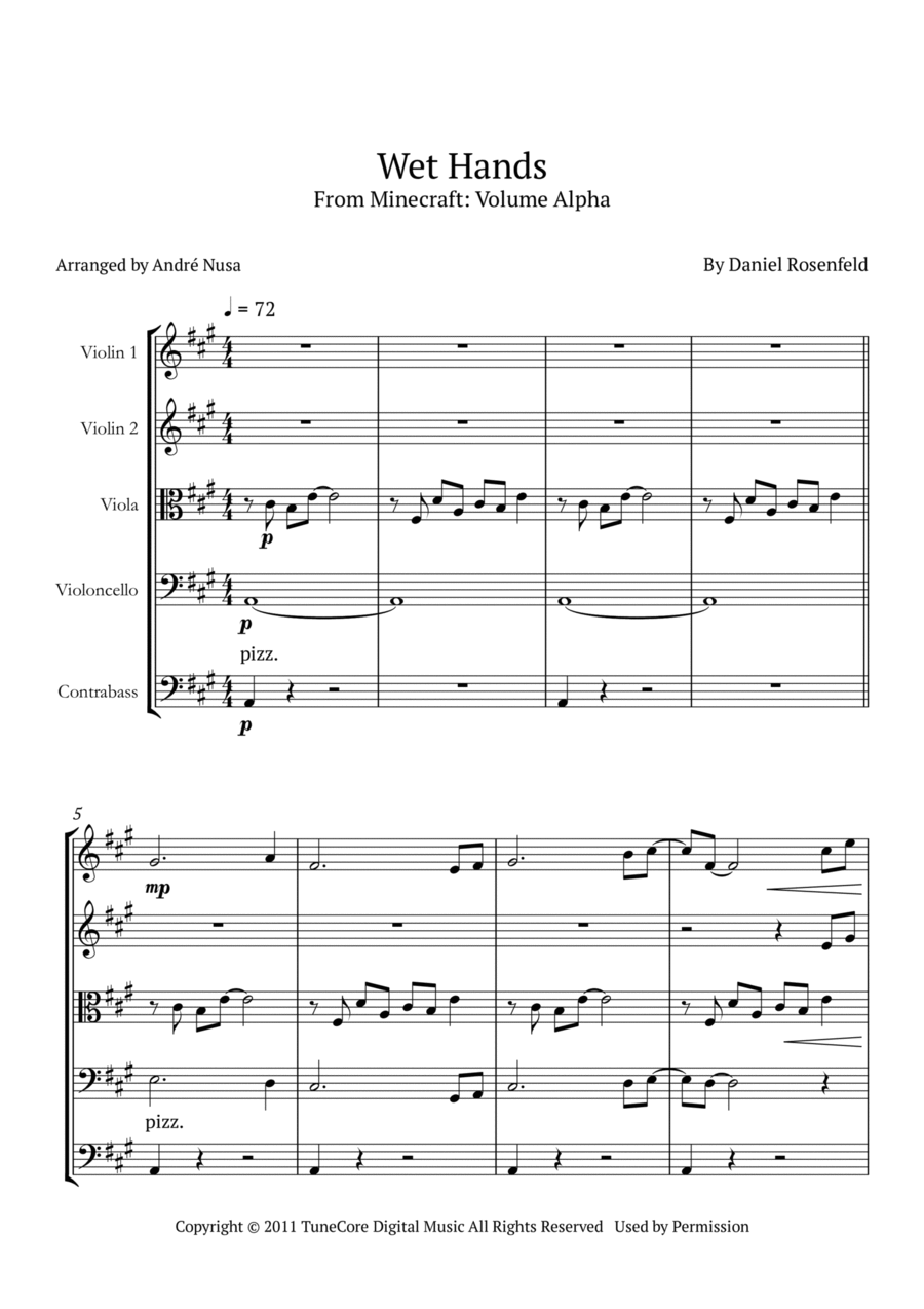 Wet Hands String Orchestra scores gallery preview page 1