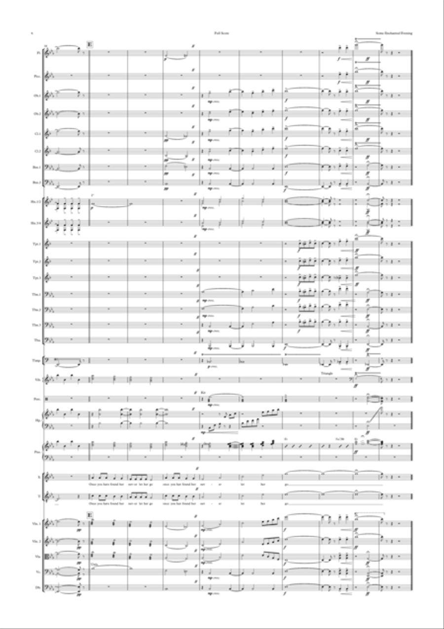 Some Enchanted Evening Full Orchestra scores gallery preview page 6