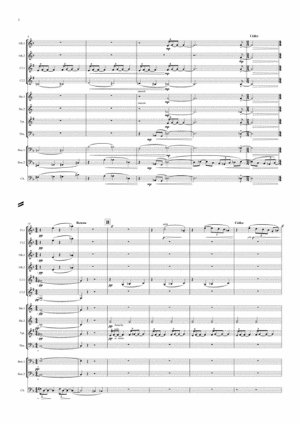 Debussy: Two Piano Preludes from Book 1 - Nos.VI Des pas sur la neige/XII Minstrels - symphonic wind image number null