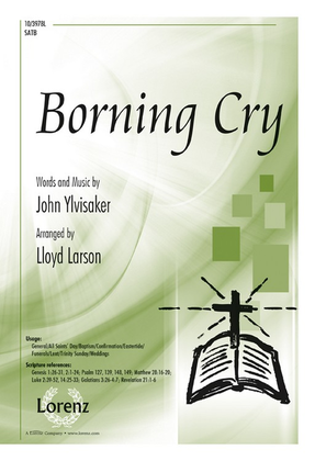 Book cover for Borning Cry