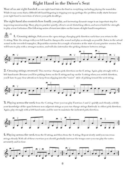 The 100-Techniques & Exercises for Mandolinists