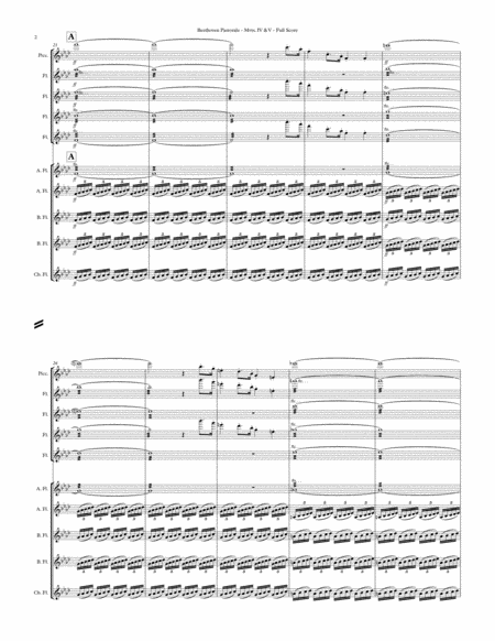 Symphony No. 6 "Pastorale" - Mvts 4 & 5 for Flute Choir