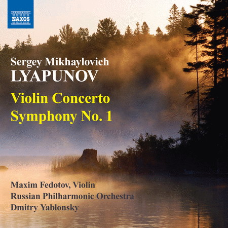 Violin Concerto Symphony No.1 image number null