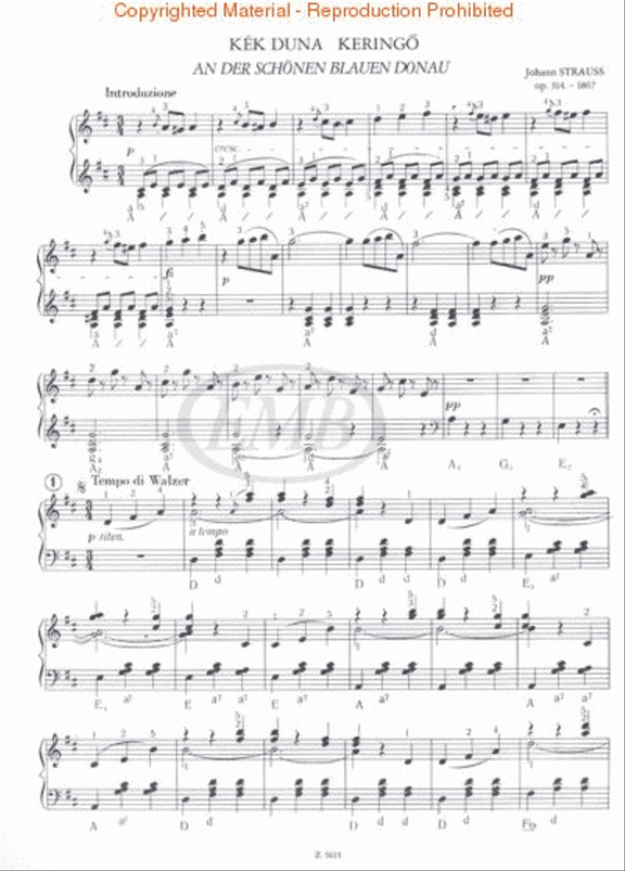 Strauss Album Accordion
