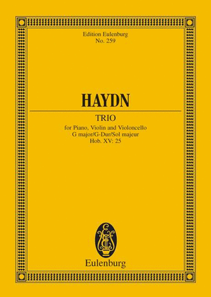 Book cover for Piano Trio G major
