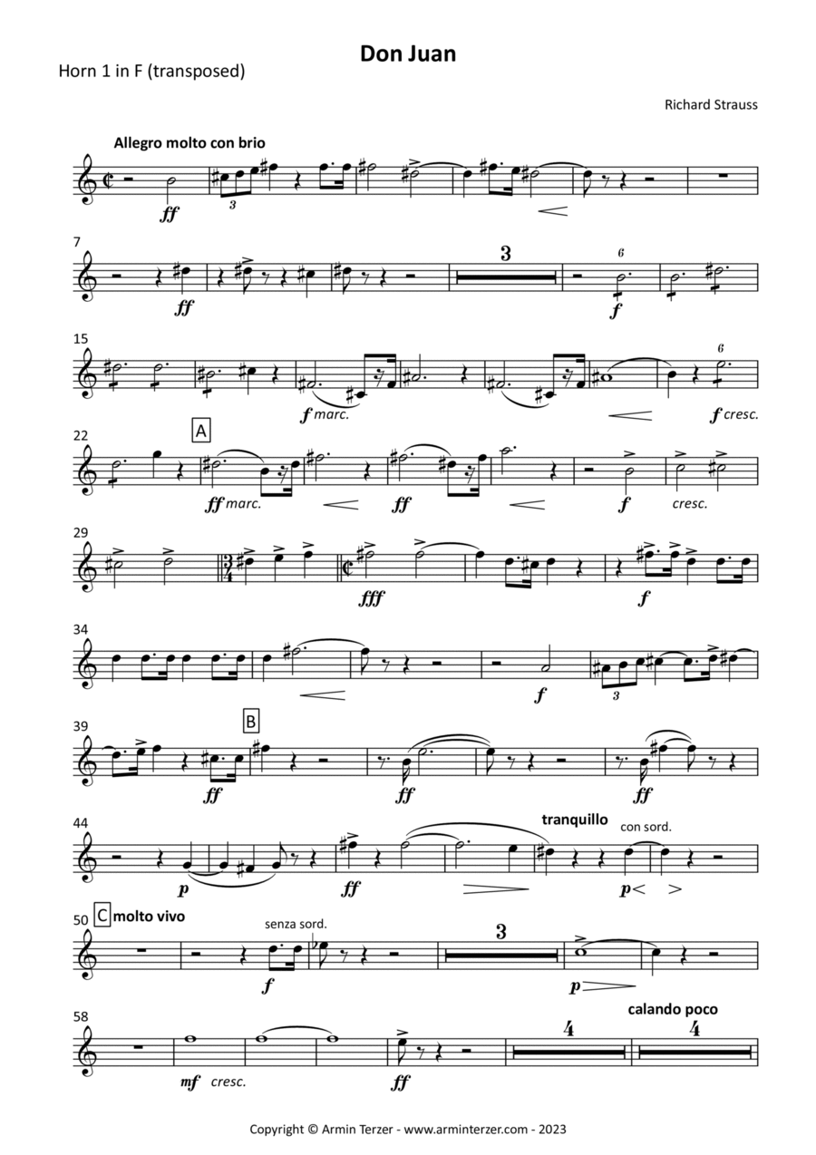 Don Juan - transposed horn parts (1-4) Horn Solo scores gallery preview page 1