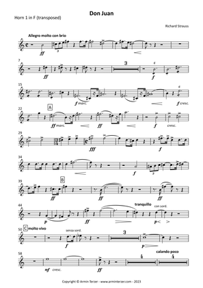Don Juan - transposed horn parts (1-4)