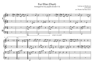 Fur Elise - Beethoven (Piano Duet Beginner)