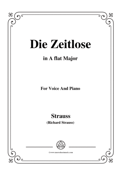 Richard Strauss-Die Zeitlose in A flat Major,for Voice and Piano image number null