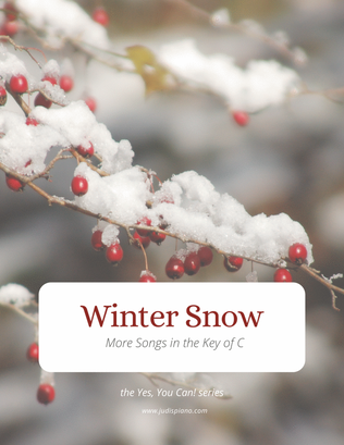 Book cover for Winter Snow - Easy Piano Solo