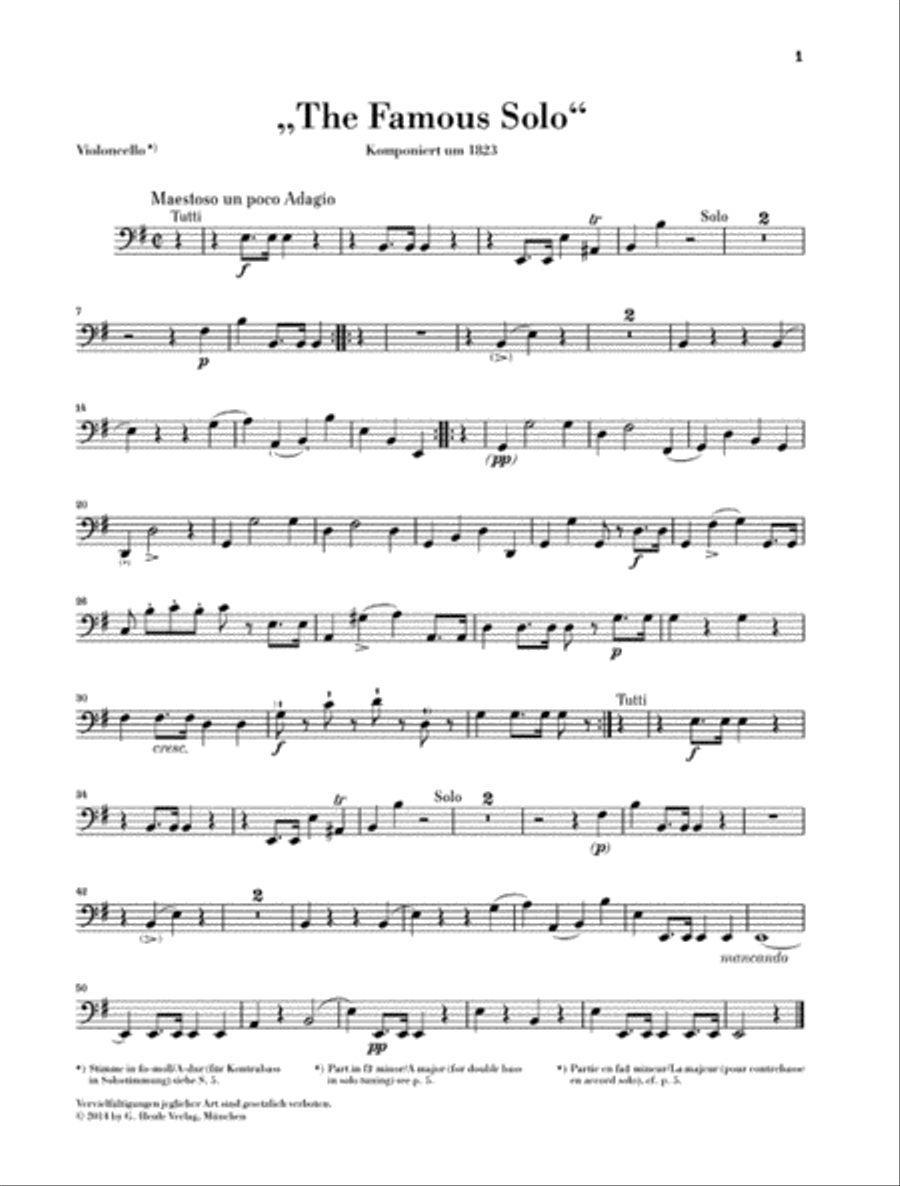爆買いしたい The Famous Domenico by Orchestra and Bass Double for Solo” その他
