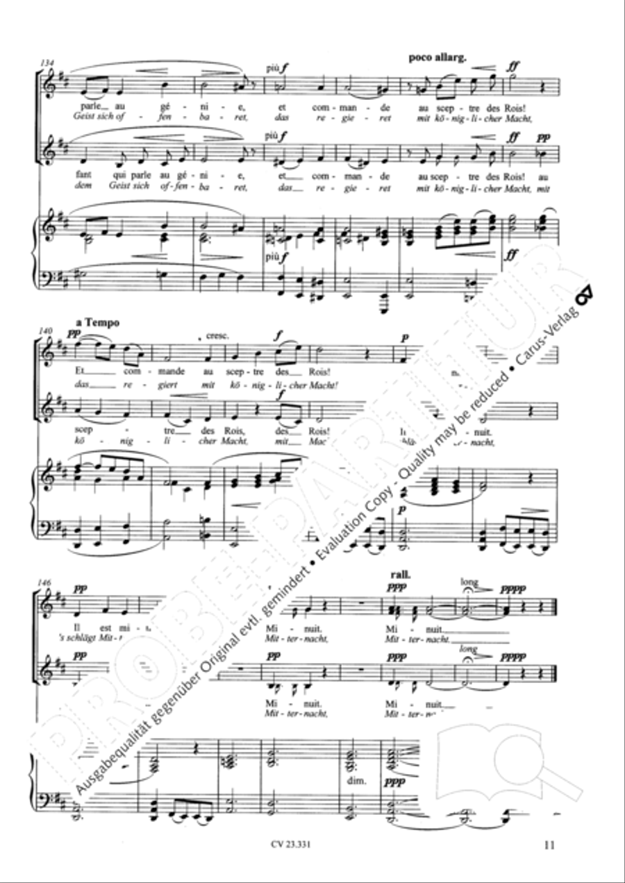 Noel (Weihnachtslied; Steigt auf zu Gott) SA scores gallery preview page 12