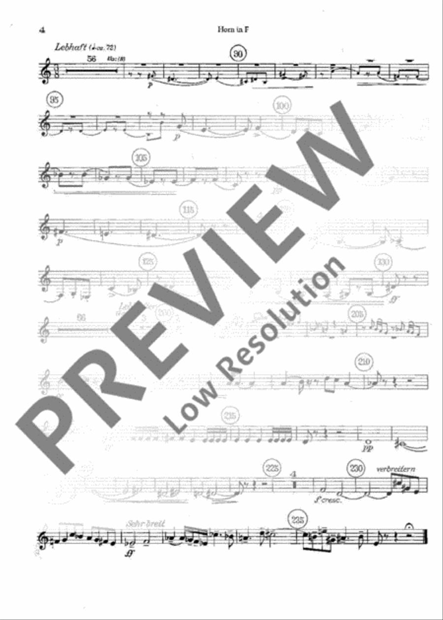 Plöner Musiktag Orchestra scores gallery preview page 15