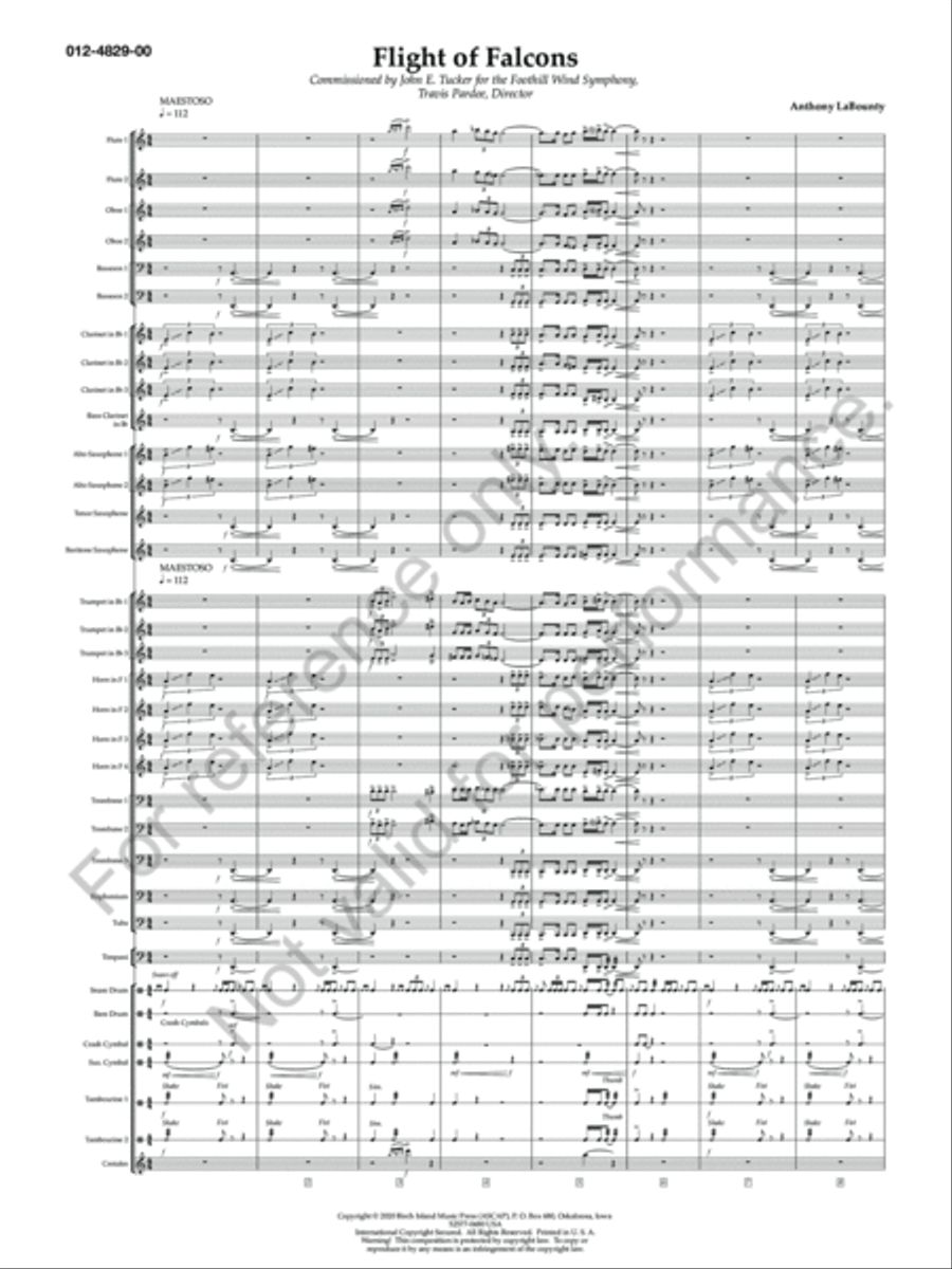 Flight Of Falcons Concert Band scores gallery preview page 4