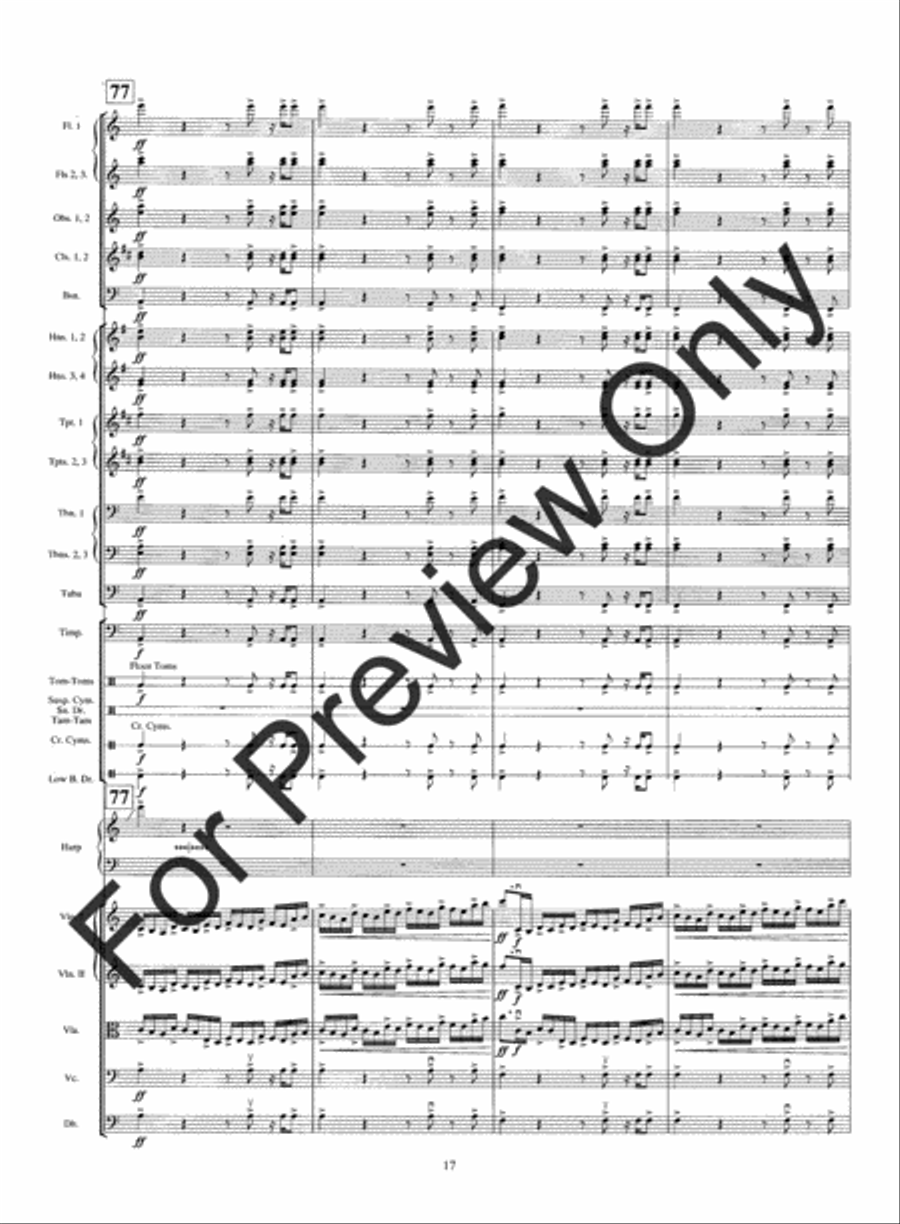 Warrior's Run String Orchestra scores gallery preview page 20