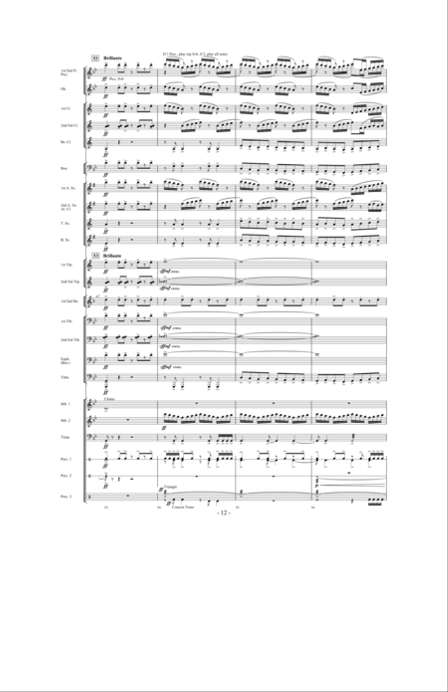 Toward the North Star Toward the North Star Concert Band scores gallery preview page 11