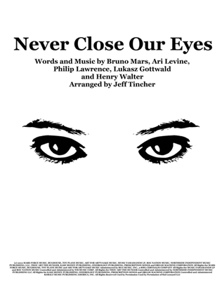 Book cover for Never Close Our Eyes