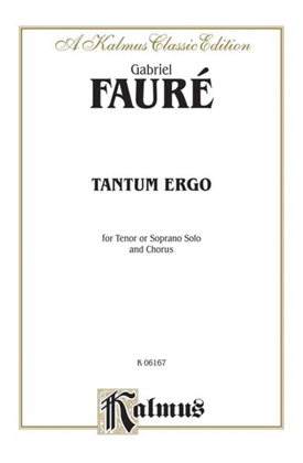 Book cover for Tantum Ergo