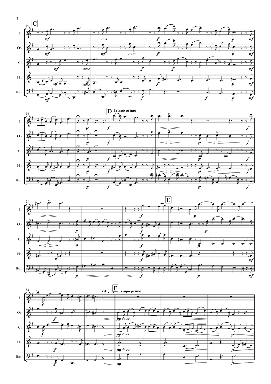 Corelli: Concerto Grosso Op.6 No.8 (Christmas Concerto) Mvt.VI Pastorale - wind quintet Woodwind Quintet scores gallery preview page 2