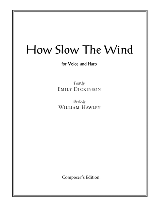 Book cover for How Slow The Wind