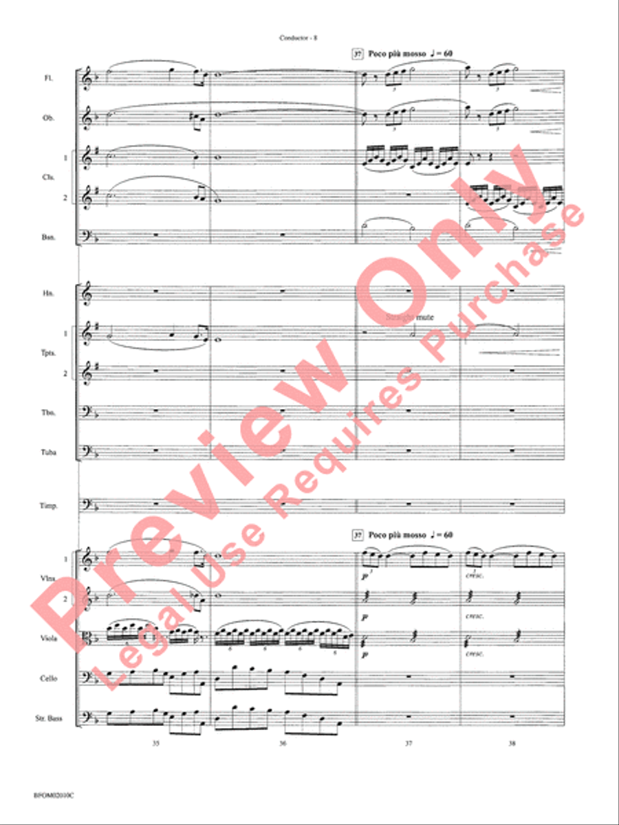 Largo (Going Home from the New World Symphony) Full Orchestra scores gallery preview page 11