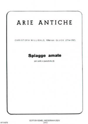 Book cover for Spiagge amate