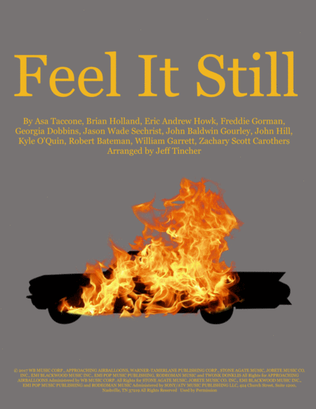 Book cover for Feel It Still