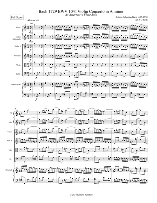 Bach 1729 BWV 1041 Concerto in Am Score Parts Flute Solo