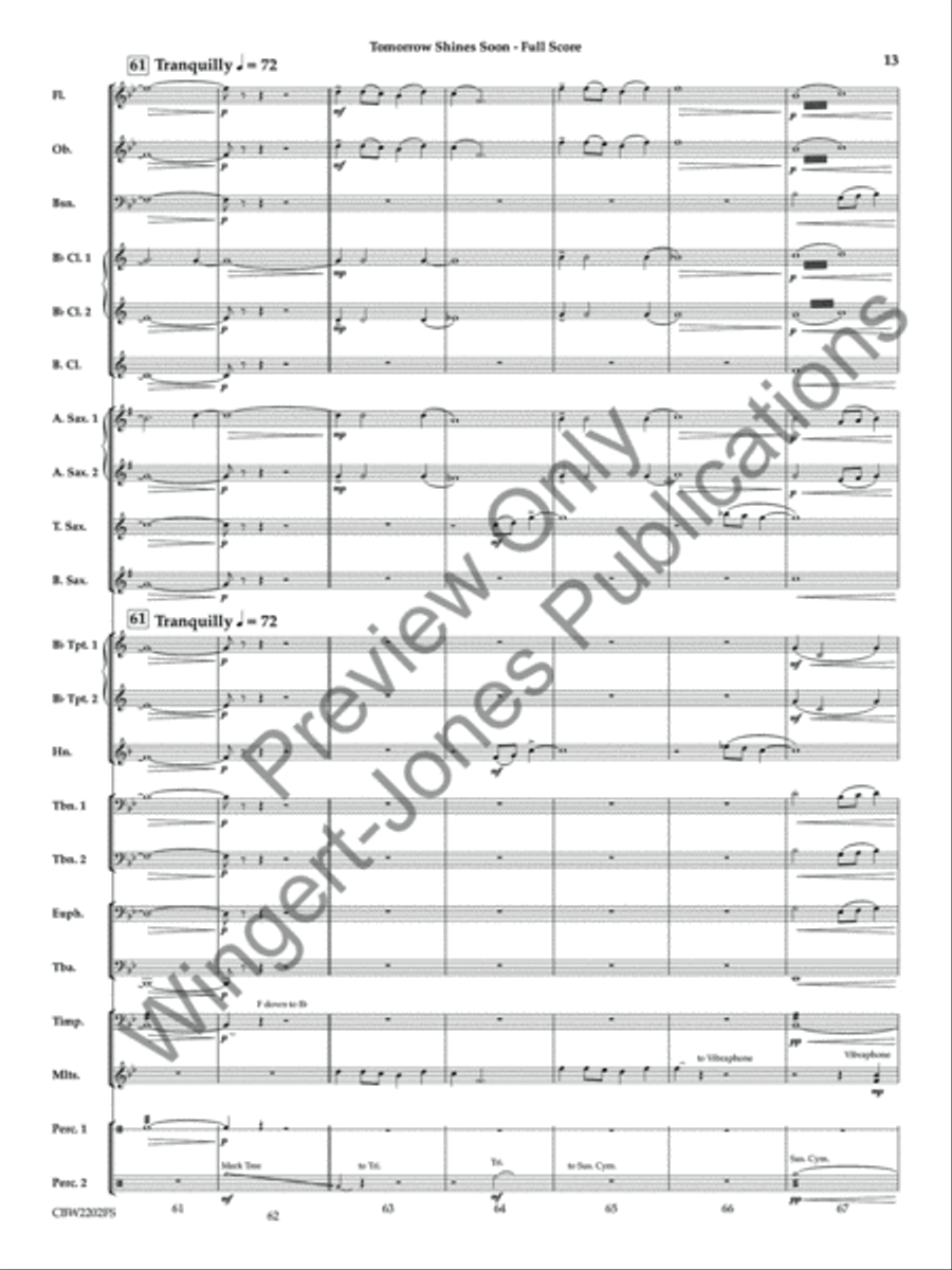 Tomorrow Shines Soon (Score) Concert Band scores gallery preview page 14