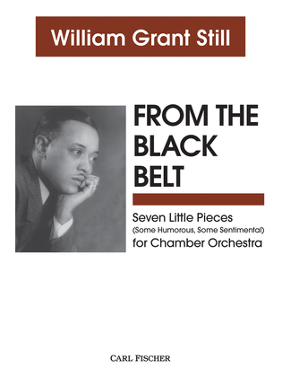 Book cover for From the Black Belt