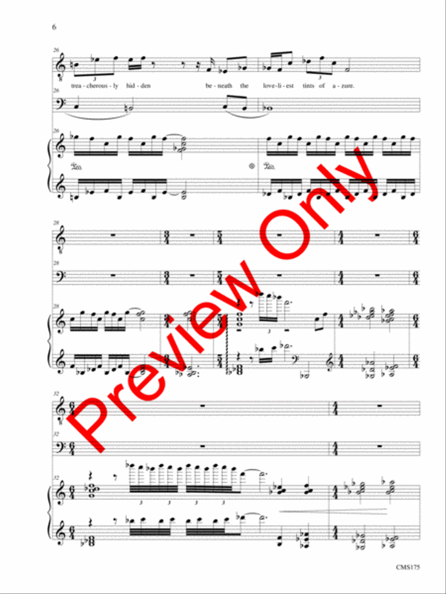 Songs of Solemn Confession: A Song Cycle Bassoon scores gallery preview page 7