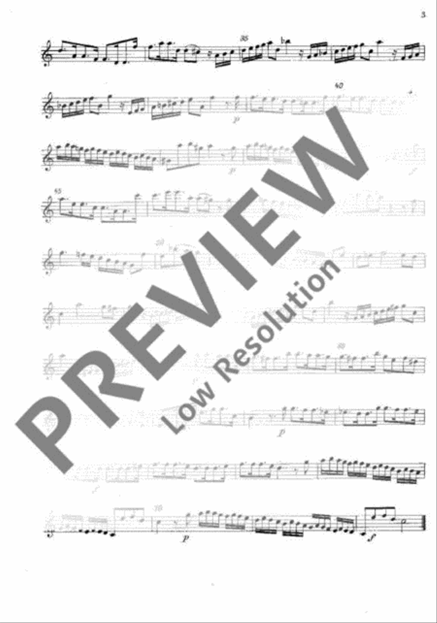 Concerto ripieno String Orchestra scores gallery preview page 3