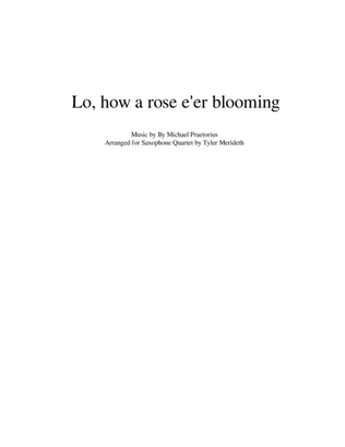 Lo, How A Rose E'er Blooming for Saxophone Quartet