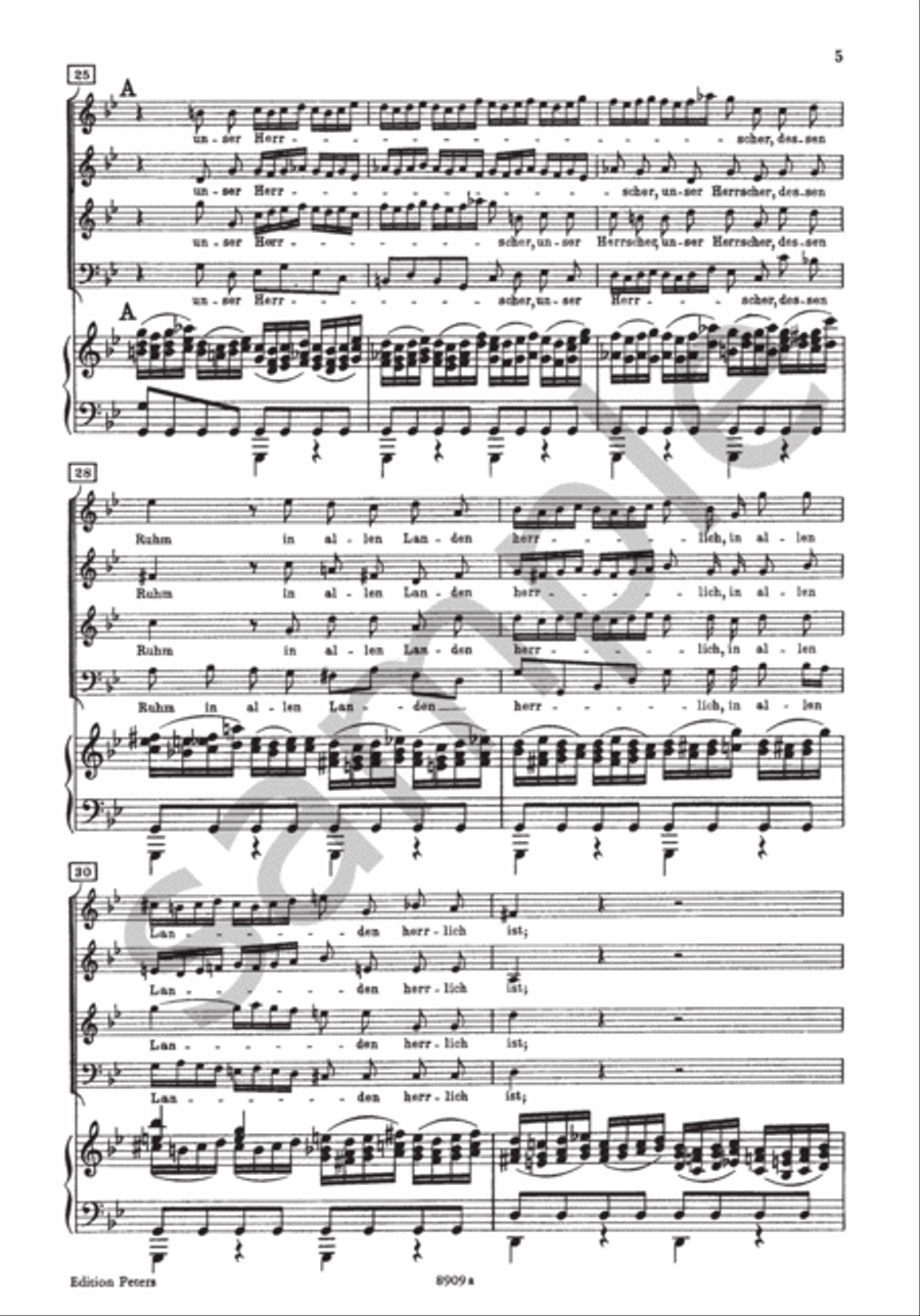 St John Passion BWV 245 (Vocal Score) 4-Part scores gallery preview page 8