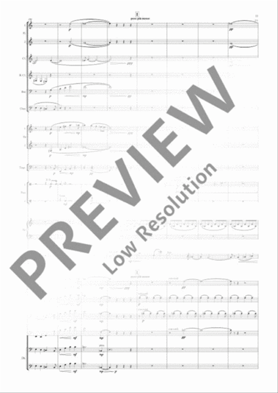 Double Bass Concerto Double Bass Concerto 3-Part scores gallery preview page 16