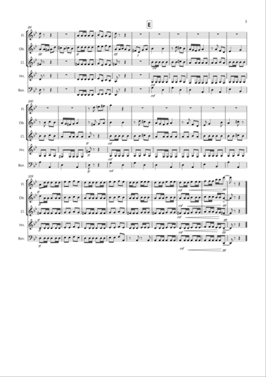 Flamanco Fantastico for Wind Quintet Woodwind Quartet scores gallery preview page 3