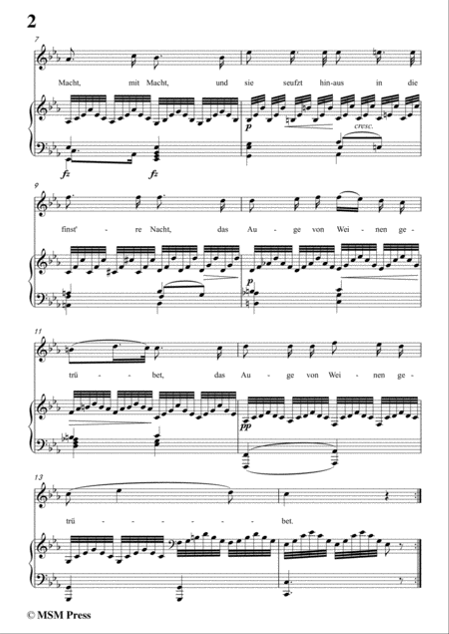 Schubert-Des Mädchens Klage (Version III),in c minor,D.389,for Voice and Piano Voice Solo scores gallery preview page 4