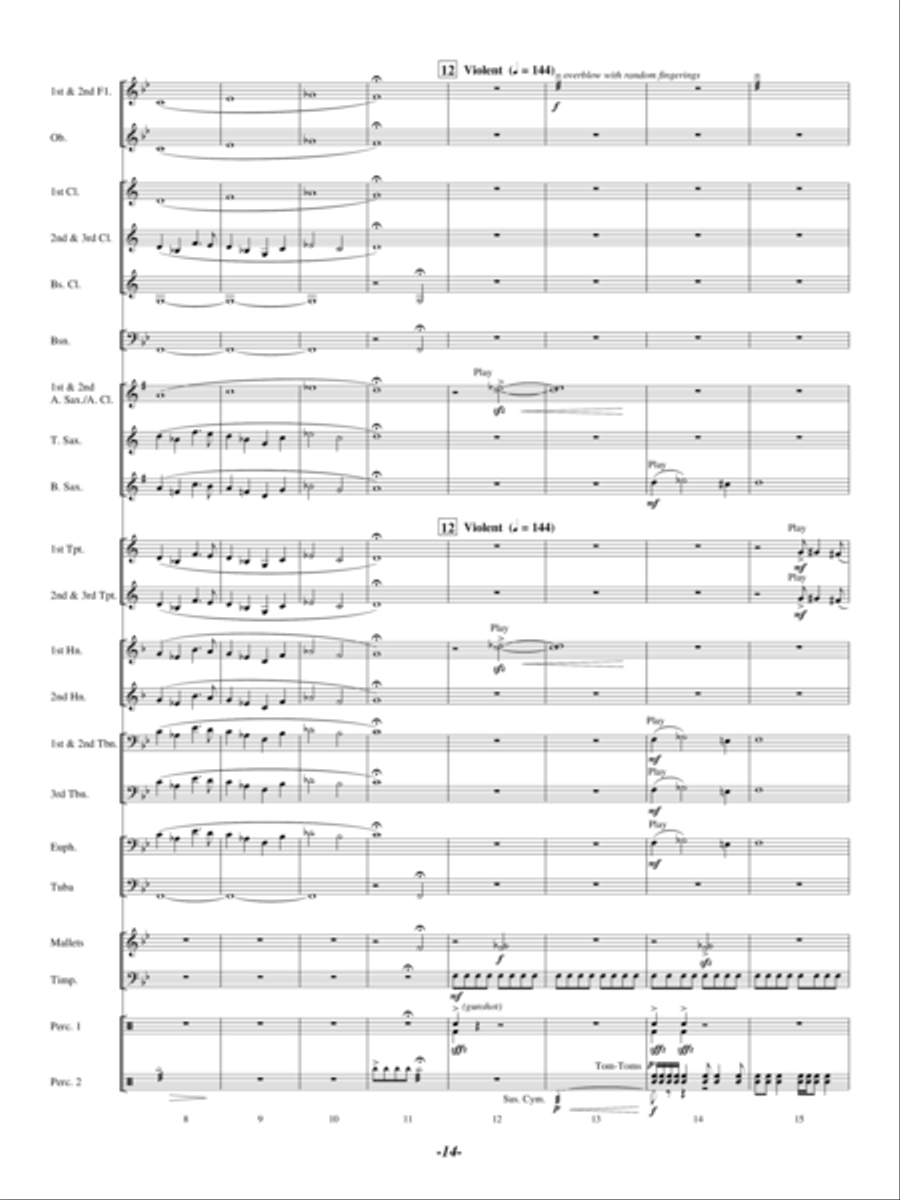 The Symphony of Souls The Symphony of Souls Concert Band scores gallery preview page 13