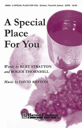 Book cover for A Special Place for You