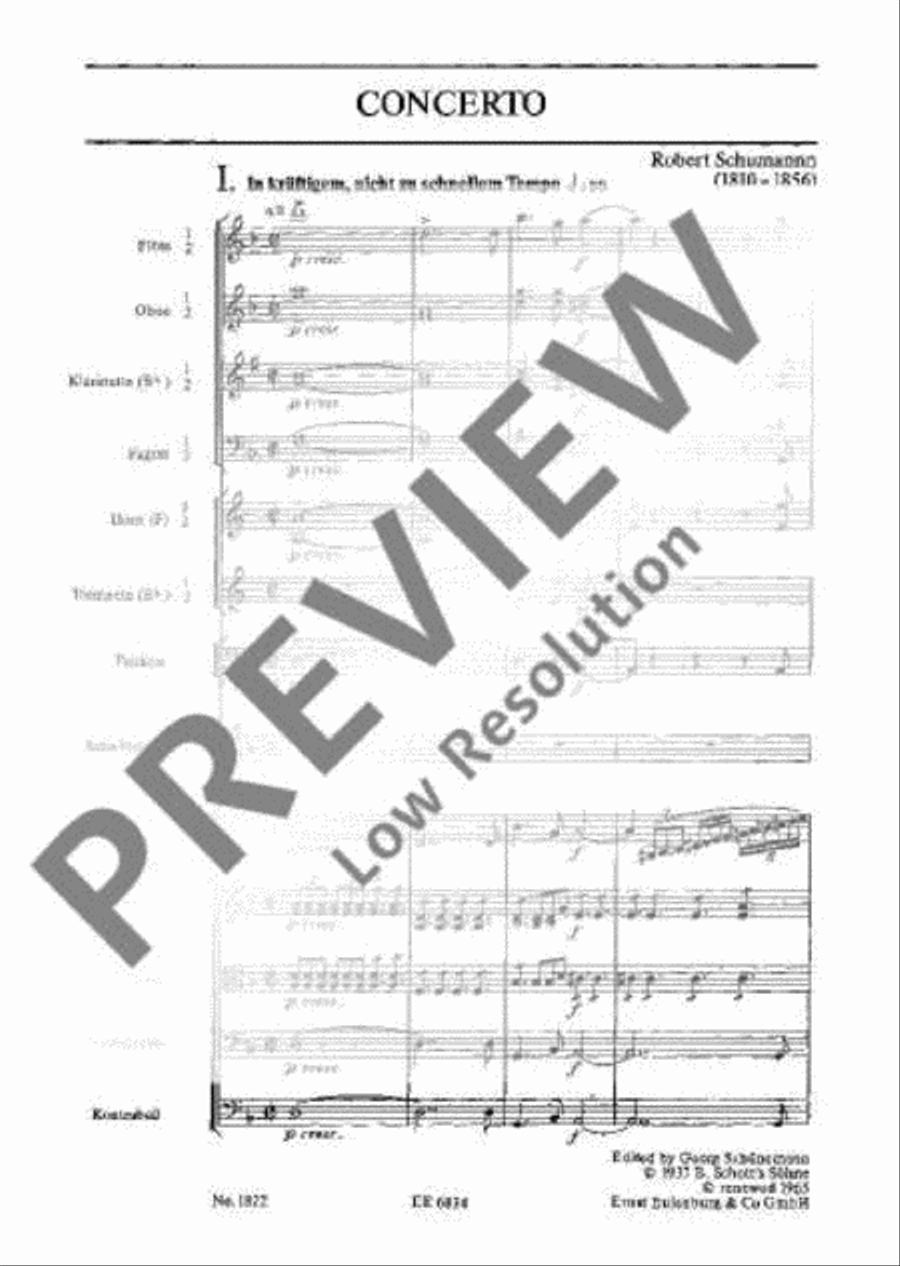 Concerto D Minor Orchestra scores gallery preview page 6