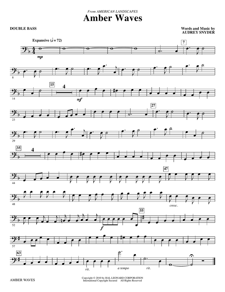 Amber Waves - Double Bass