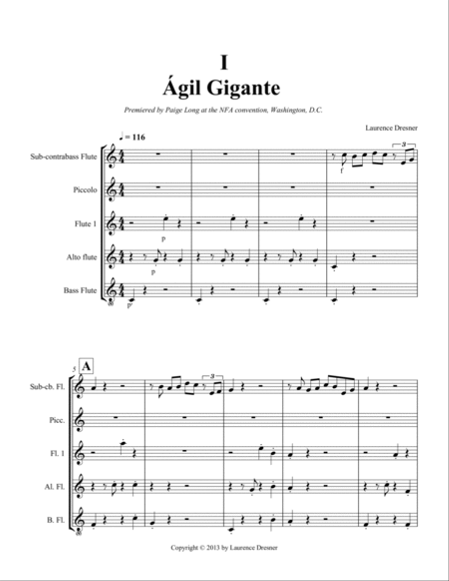 Concerto for Low Flute Concerto for Low Flute Flute Solo scores gallery preview page 2