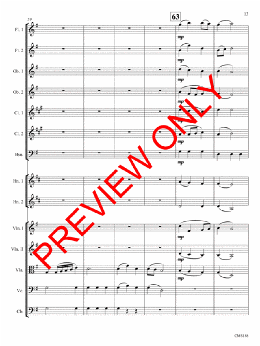 Alka Chamber Orchestra scores gallery preview page 14
