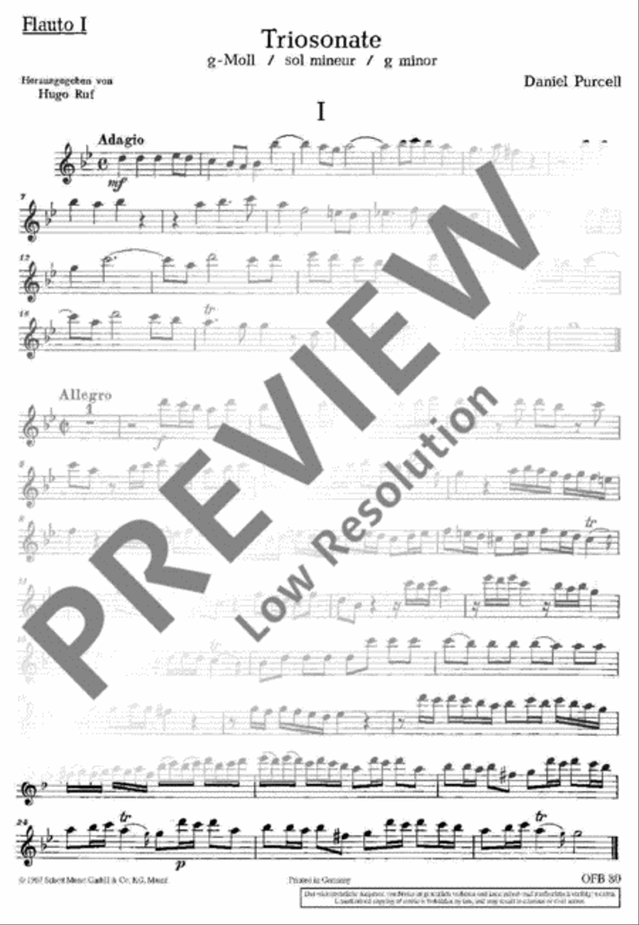 Triosonate G minor Alto Recorder scores gallery preview page 10