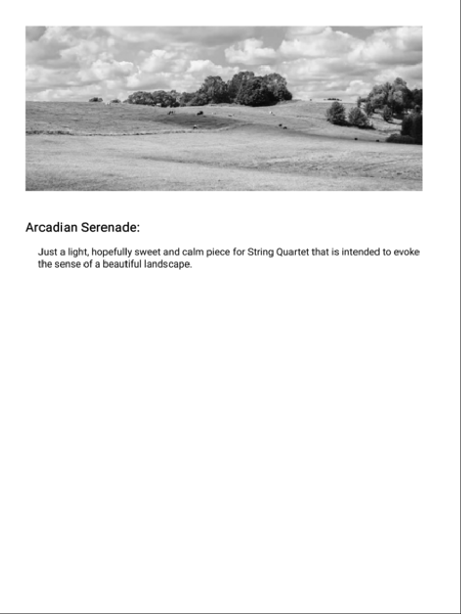 Arcadian Serenade Arcadian Serenade String Quartet scores gallery preview page 2