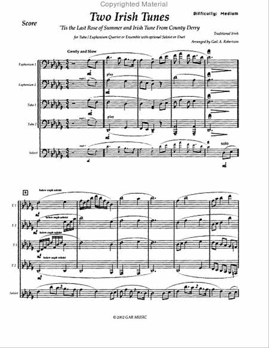 Two Irish Tunes EETT scores gallery preview page 2