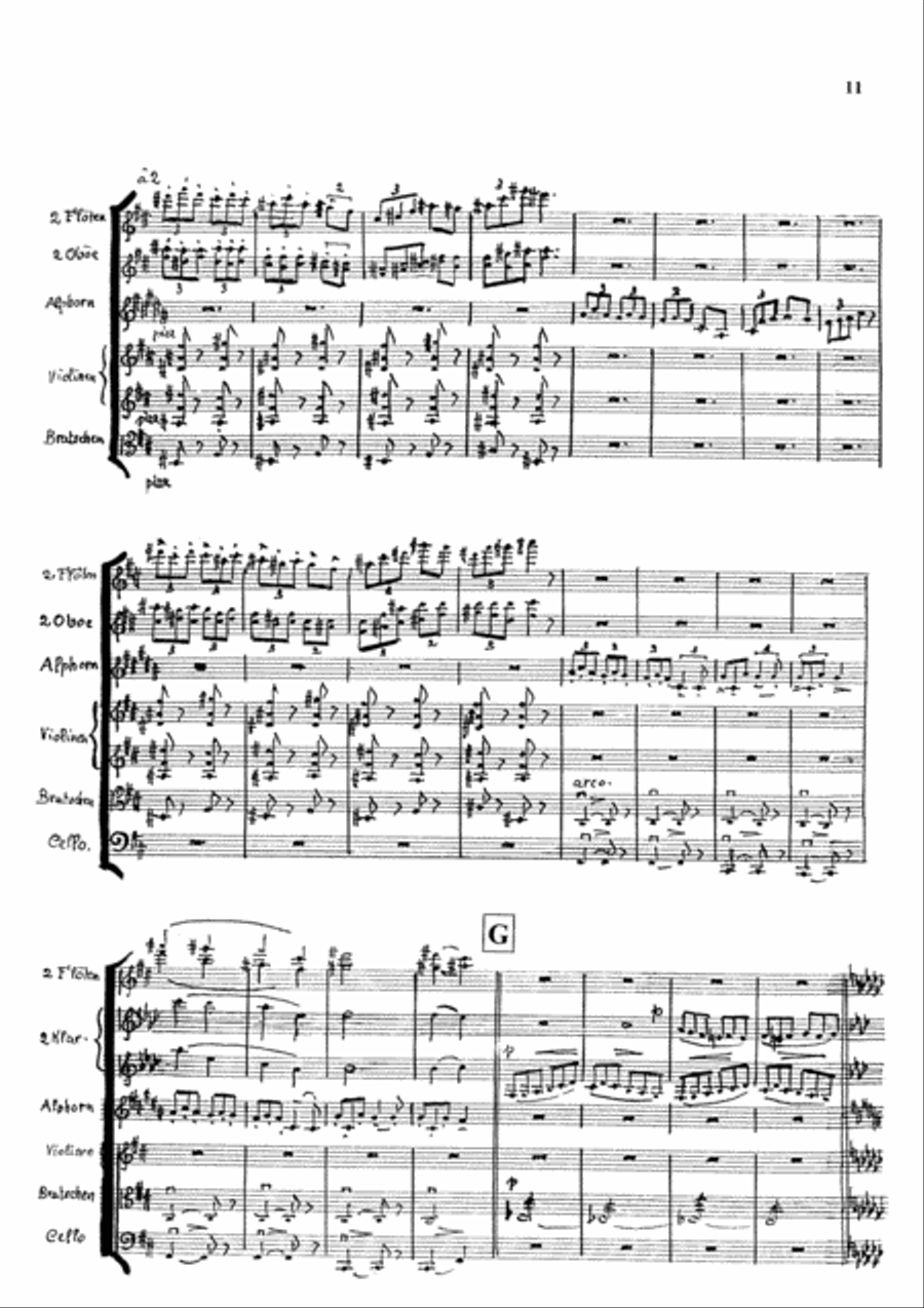 3. Alphorn Concerto Orchestra scores gallery preview page 11