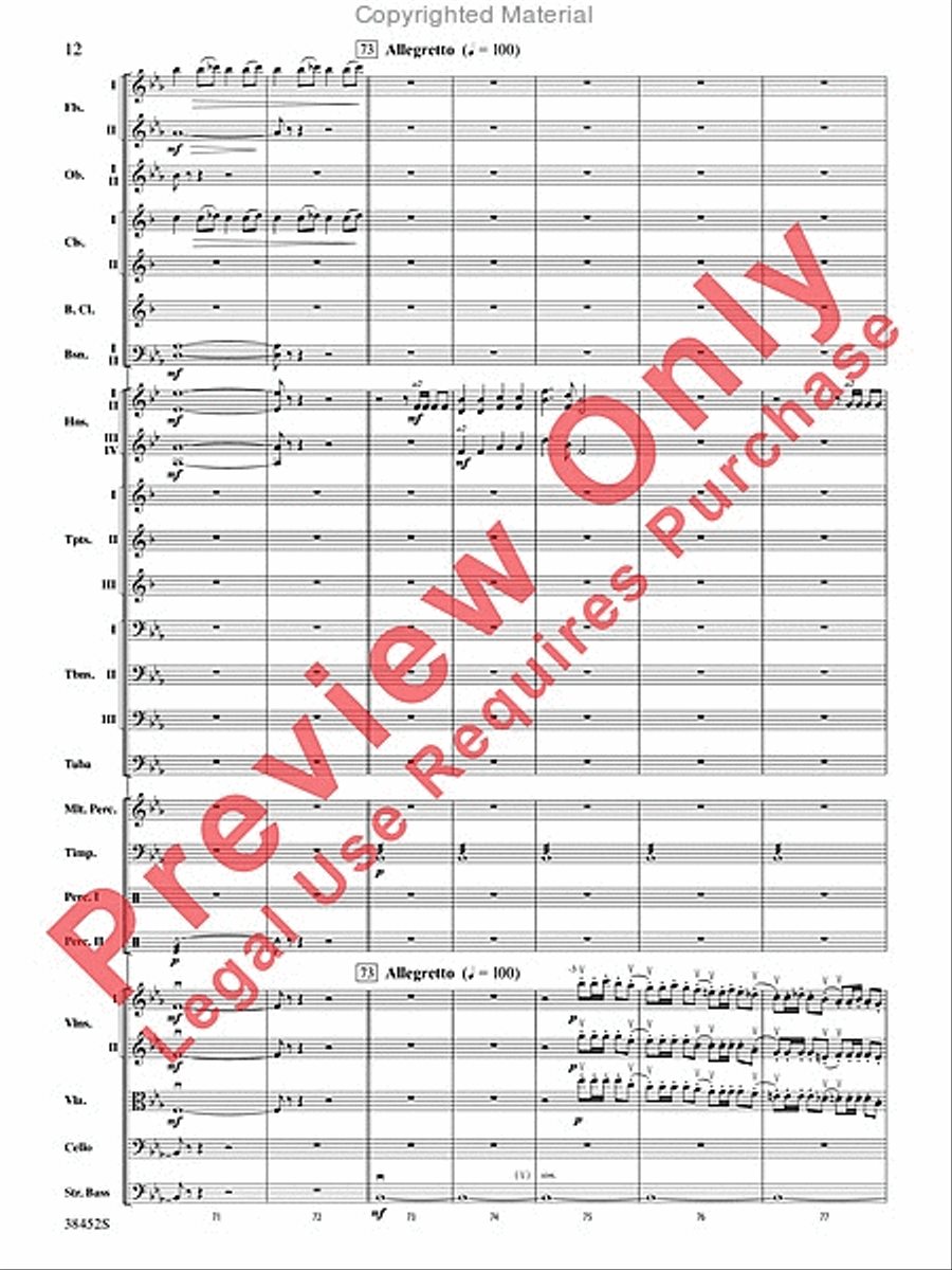 1812 Overture Full Orchestra scores gallery preview page 13