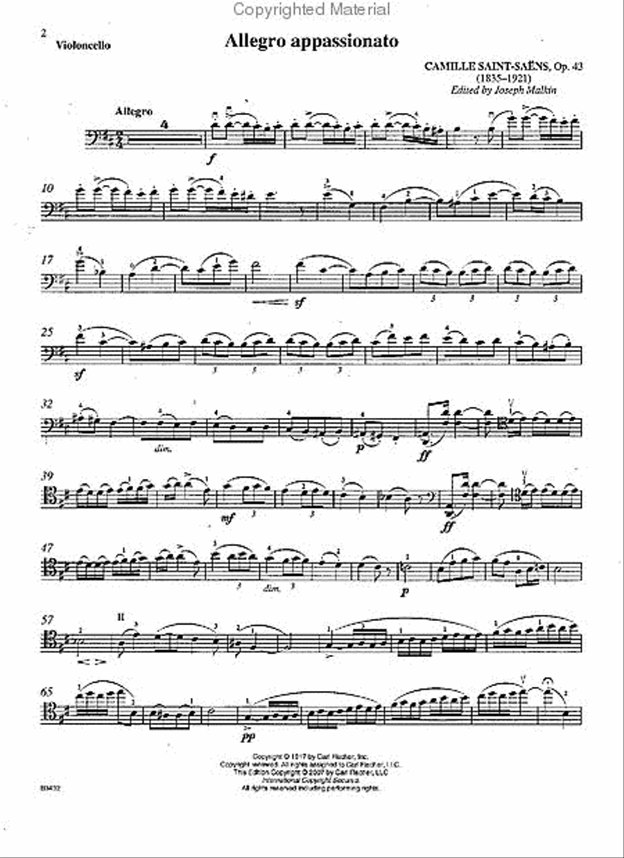 Allegro Appassionato Piano scores gallery preview page 2
