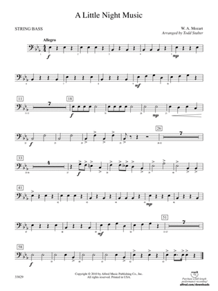 A Little Night Music: (wp) String Bass